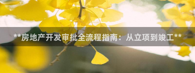 永利包装