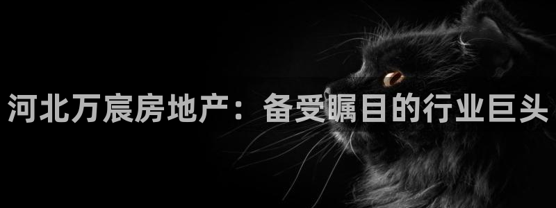 永利汇茶具有限公司