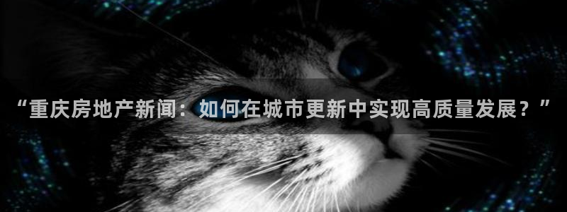 永利 官网