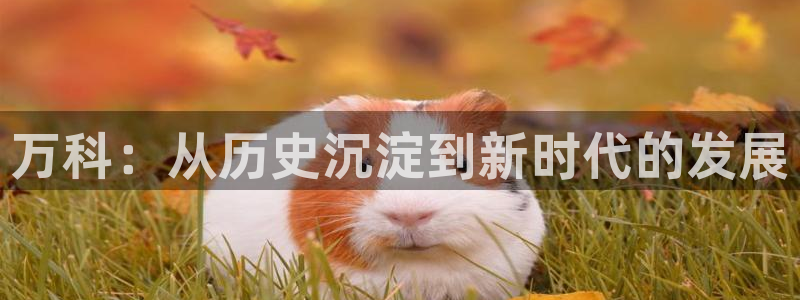 永利有限责任公司