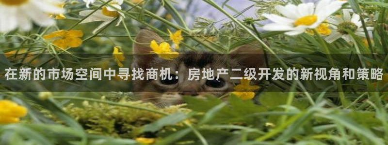 永利官网服务承诺在哪