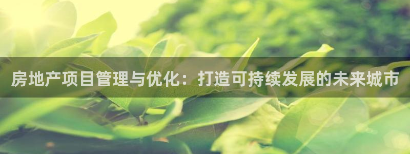 永利房地产开发有限公司总经理