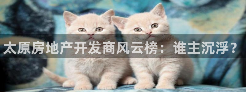 永利皮带型号说明书
