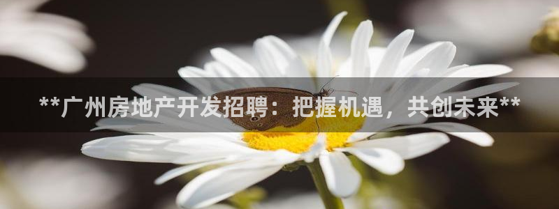 永利优惠大厅