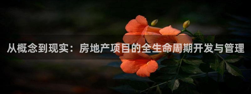 永利带业 皮带 输送带 价格