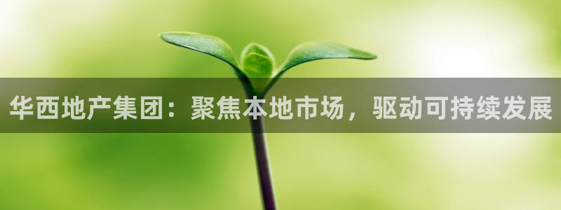 永利网9900777公司的地址