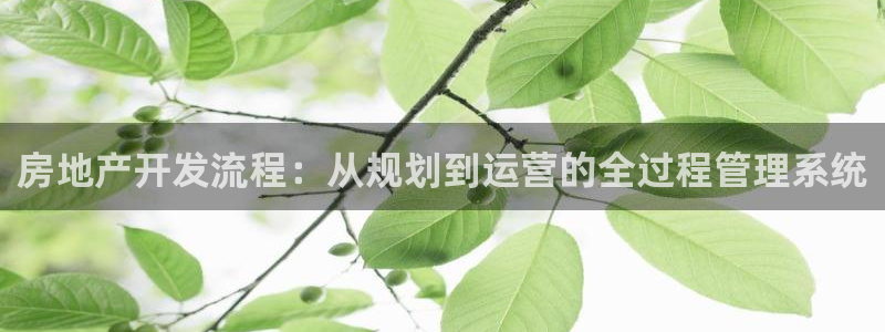 永利家具厂怎么样