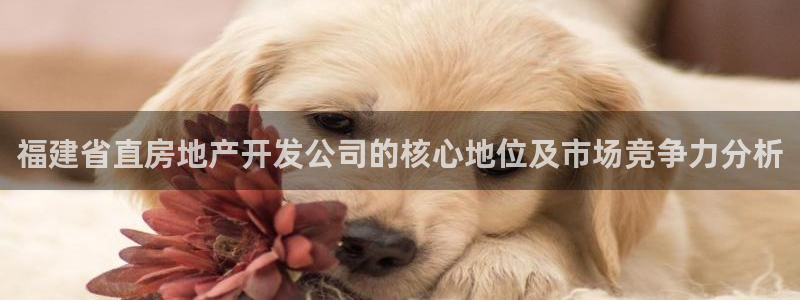 永利游乐城网址查询