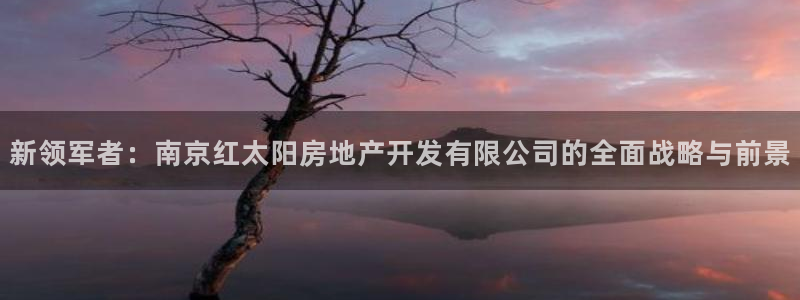永利皮带型号说明书