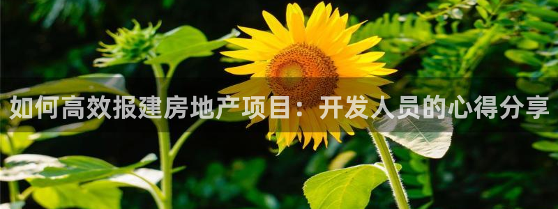 永利游乐城网址