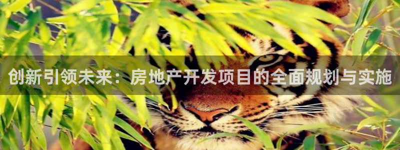 永利公司是做什么的