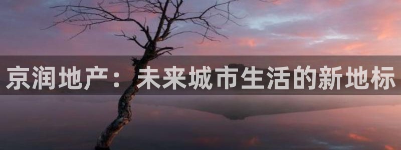 永利制带股票