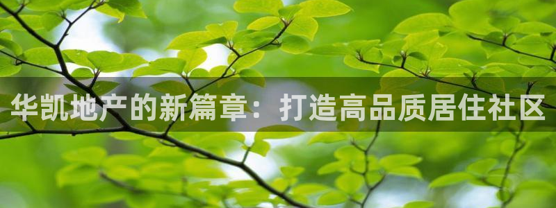 永利汇茶具怎么样