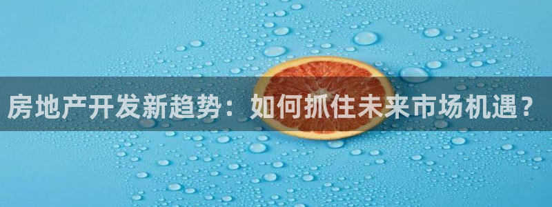 永利制带