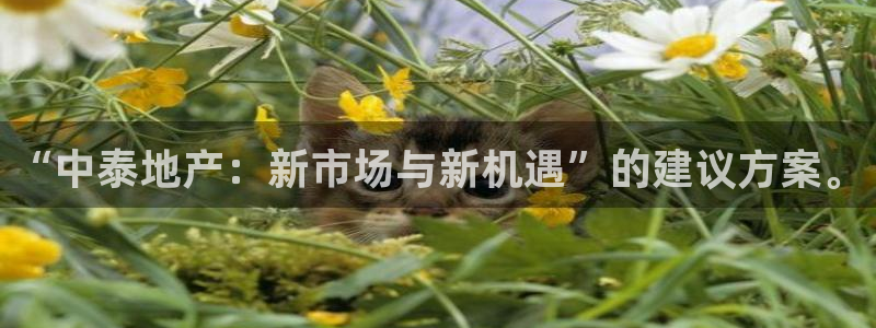 永利箱包厂
